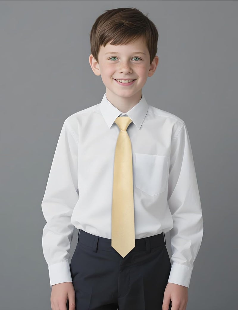 Ailisus Store Boys Tie Solid Color Silk Satin Pre-tied Kids Necktie for Age 8-12 Adjustable Formal Wedding School Graduation - Image 2